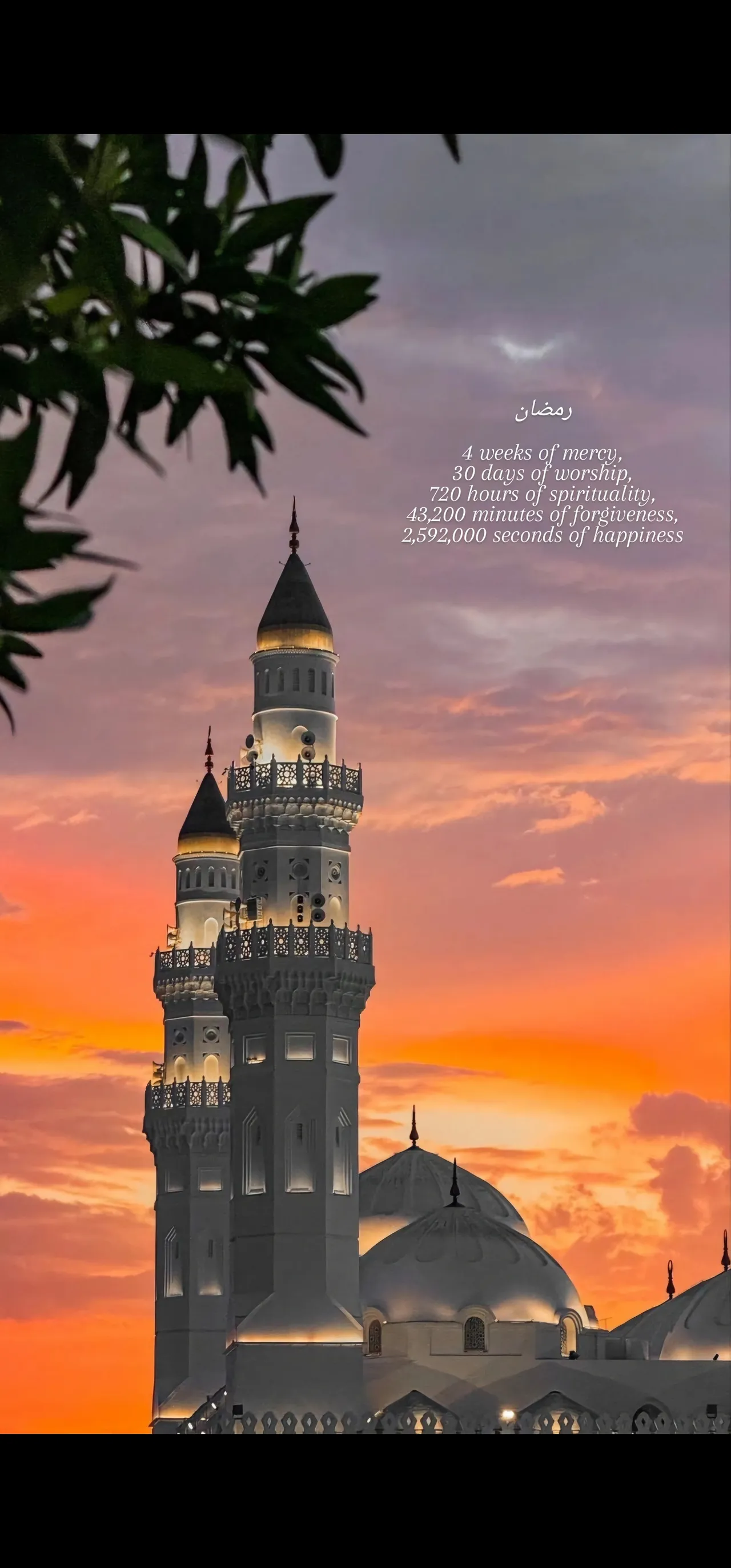 رمضان 🌙✨ / Ramadan 