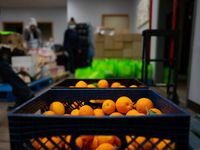 Distribution at Food Pantry